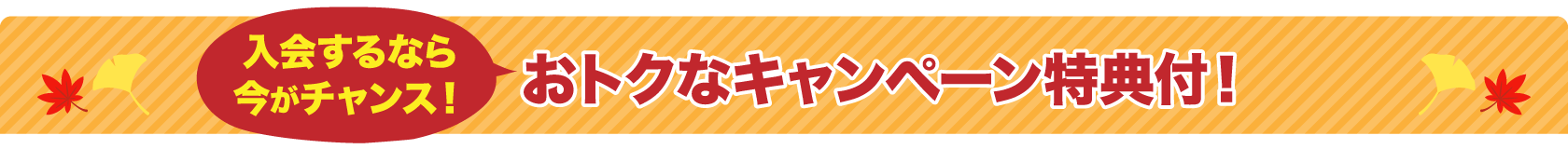 おトクなキャンペーン特典付！