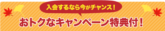 おトクなキャンペーン特典付！