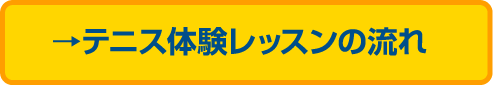 テニス体験レッスンの流れ