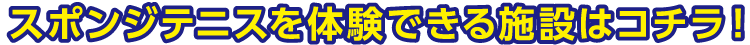 スポンジテニスを体験できる施設はコチラ！