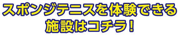 スポンジテニスを体験できる施設はコチラ！